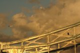 thumbnails/051-img_8194.jpg.small.jpeg