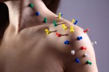 thumbnails/000-img_8497.jpg.small.jpeg
