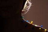 thumbnails/002-img_8526.jpg.small.jpeg