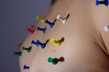 thumbnails/005-img_8573.jpg.small.jpeg