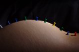 thumbnails/006-img_8596.jpg.small.jpeg