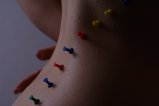 thumbnails/010-img_8674.jpg.small.jpeg