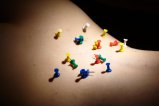 thumbnails/014-img_8740.jpg.small.jpeg