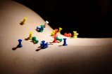 thumbnails/015-img_8745.jpg.small.jpeg