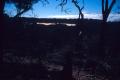 img001.jpeg.small.jpeg