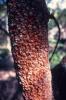 img003.jpeg.small.jpeg