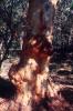 img004.jpeg.small.jpeg