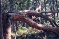 img005.jpeg.small.jpeg