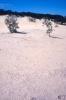 img015.jpeg.small.jpeg