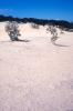 img016.jpeg.small.jpeg