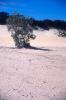img017.jpeg.small.jpeg