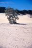img018.jpeg.small.jpeg