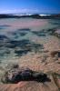 img041.jpeg.small.jpeg