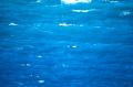img056.jpeg.small.jpeg