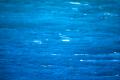 img058.jpeg.small.jpeg