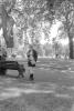 img034.jpeg.small.jpeg