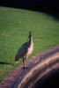 img003.jpeg.small.jpeg