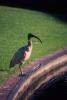img004.jpeg.small.jpeg