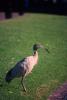 img005.jpeg.small.jpeg