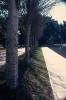 img069.jpeg.small.jpeg
