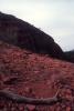 img004.jpeg.small.jpeg