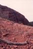 img005.jpeg.small.jpeg
