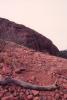 img007.jpeg.small.jpeg