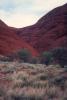 img012.jpeg.small.jpeg