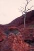 img014.jpeg.small.jpeg