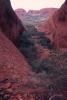 img017.jpeg.small.jpeg