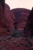 img021.jpeg.small.jpeg