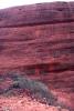 img025.jpeg.small.jpeg