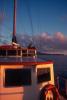 img010.jpeg.small.jpeg