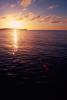 img018.jpeg.small.jpeg