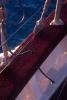 img019.jpeg.small.jpeg