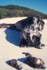 img021.jpeg.small.jpeg