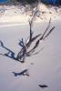 img026.jpeg.small.jpeg