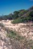 img030.jpeg.small.jpeg