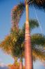 img001.jpeg.small.jpeg