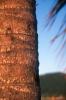 img001.jpeg.small.jpeg
