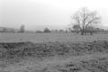 img029.jpeg.small.jpeg