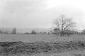 img030.jpeg.small.jpeg