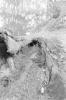 img033.jpeg.small.jpeg