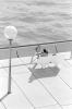 img003.jpeg.small.jpeg