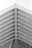 img011.jpeg.small.jpeg
