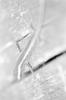 img002.jpeg.small.jpeg
