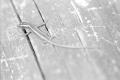 img005.jpeg.small.jpeg