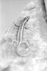 img021.jpeg.small.jpeg