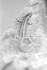 img022.jpeg.small.jpeg