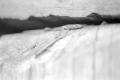 img029.jpeg.small.jpeg